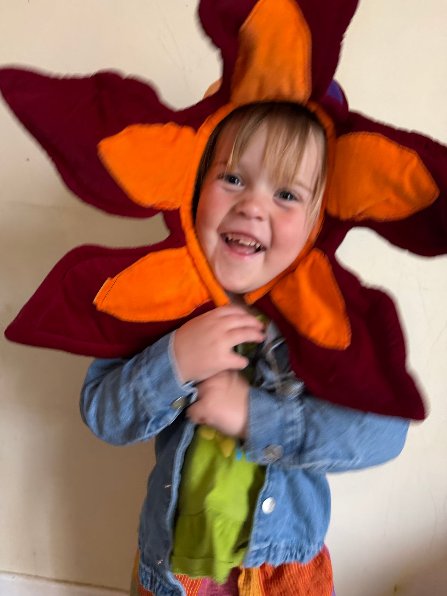 Toddler 1-3 Years