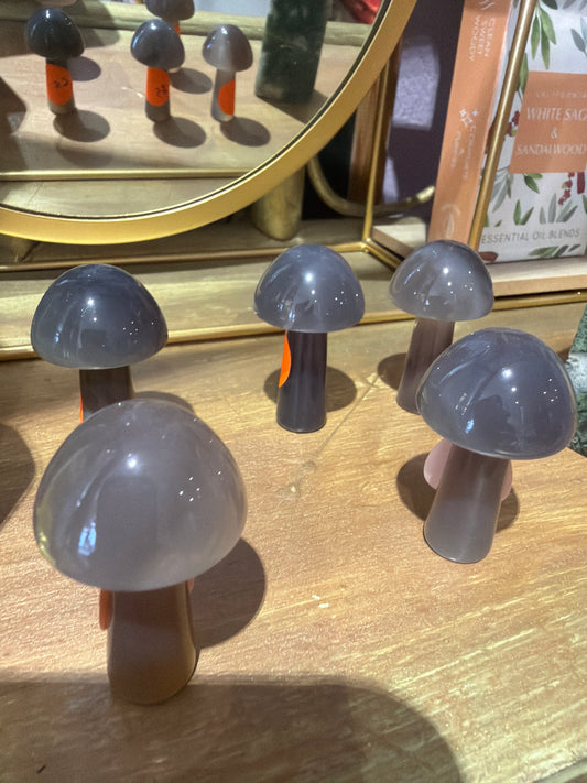 Agate Mushrooms 🍄